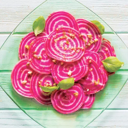 Betterave potagère Chioggia présemé bio