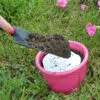 Bourrache Officinale preseme bio