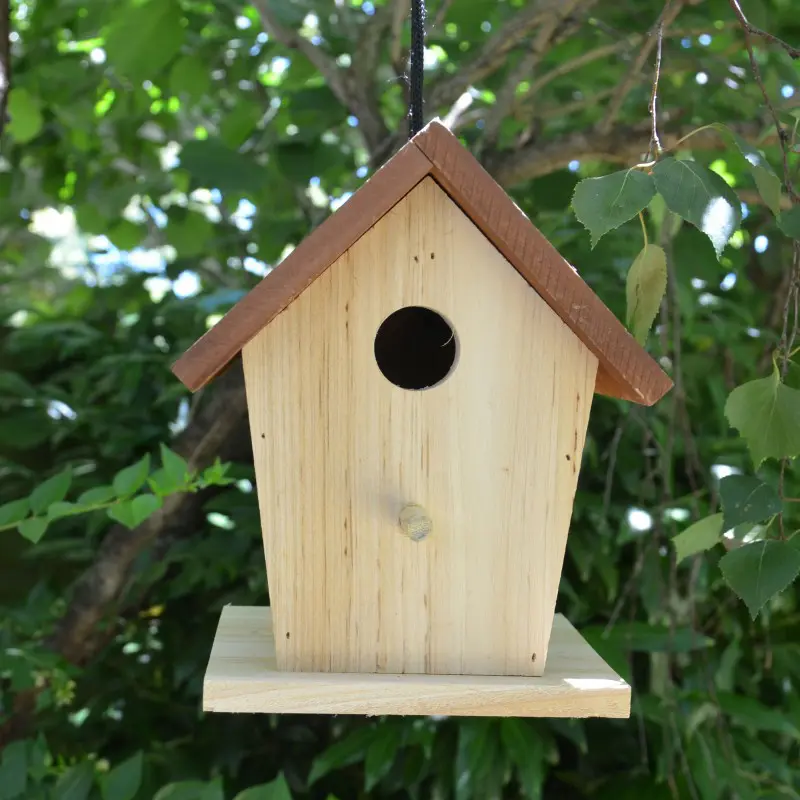 Cabane à oiseaux en bois et écorces naturelles -  France