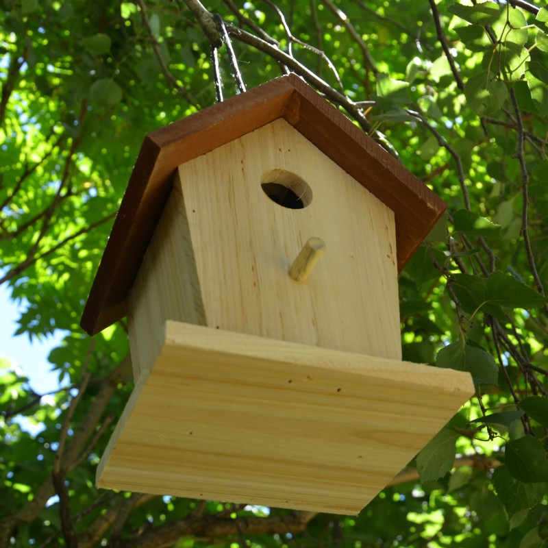 Cabane à oiseaux en bois et écorces naturelles -  France