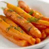 Carotte Potagere Amsterdam 2 bio