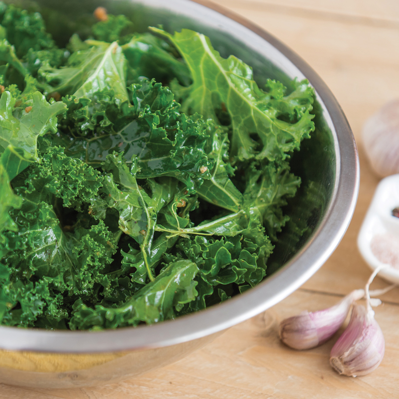 Chou Kale Halbhoher Grüner Krauser présemé bio