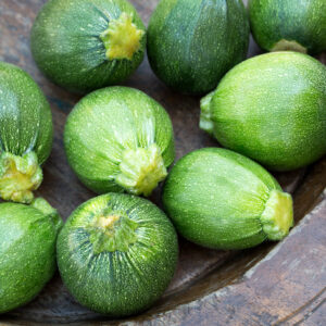 Courgette de Nice à fruit rond bio