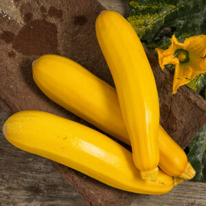 Courgette jaune