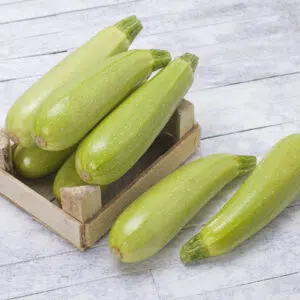 Courgette verte petite d’Alger