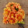 Dahlia collerette Esther