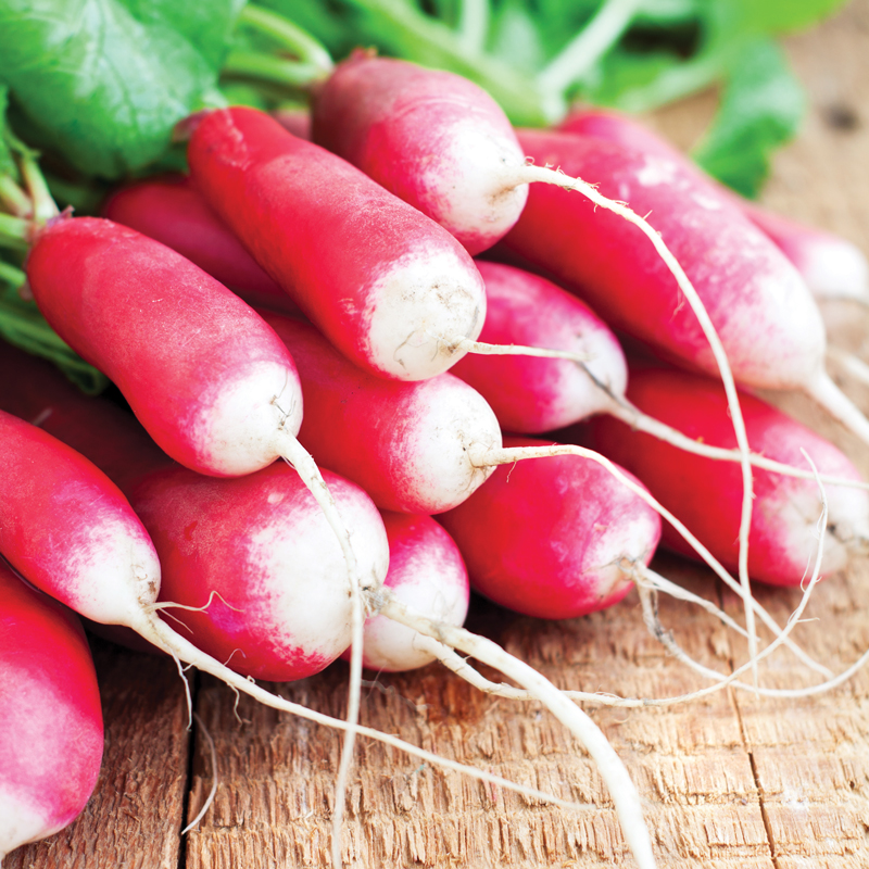 Duo rapide présemé bio