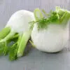 Fenouil romanesco bio