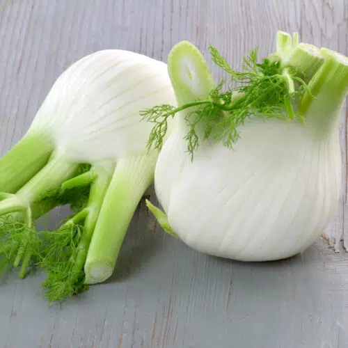Fenouil romanesco bio