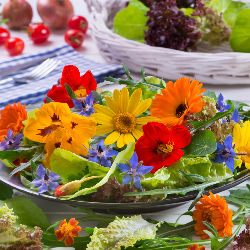 Fleurs en mélange comestibles bio - Ernest TURC