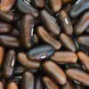 Haricot nain filet sans fil Argus