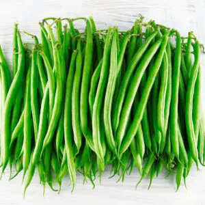 Haricot nain mangetout Castandel