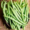 Haricot nain mangetout Contender