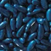 Haricot nain mangetout de Rocquencourt