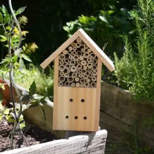 Hôtel à insectes en bois