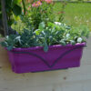 Jardinière Millesia aubergine