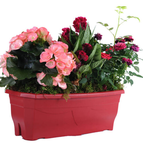 Jardinière Millesia framboise