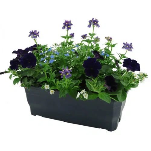 Jardinière Millesia gris ardoise
