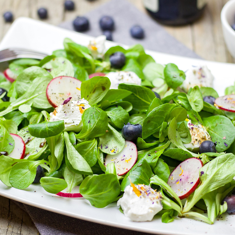 Mâche Coquille De Louviers