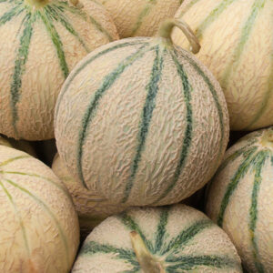 Melon de cavaillon espagnol