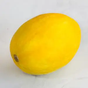 Melon jaune canaria 3