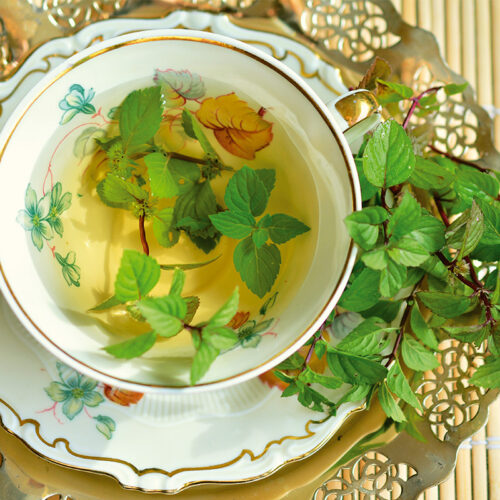 Menthe poivree bio