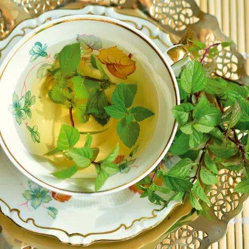 Menthe poivree bio