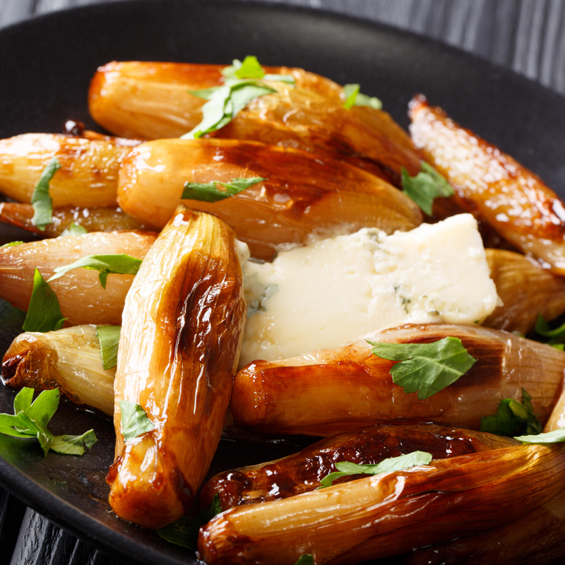 Oignon Echalion Zebrune