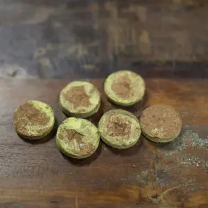 Kit Mini-serre avec ses pastilles de coco