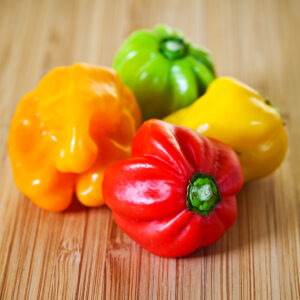 Piment Scotch Bonnet