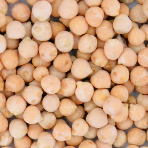 Pois Chiche à Écosser