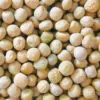 Pois nain mangetout Norli