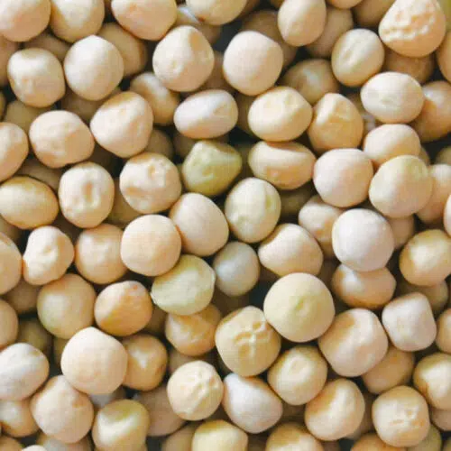 Pois nain mangetout Norli