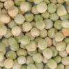Pois nain Petit Provençal