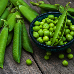 Pois nain Petit Provençal