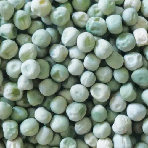 Pois nain Plein Le Panier