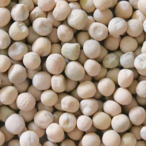Pois nain très hâtif d'Annonay