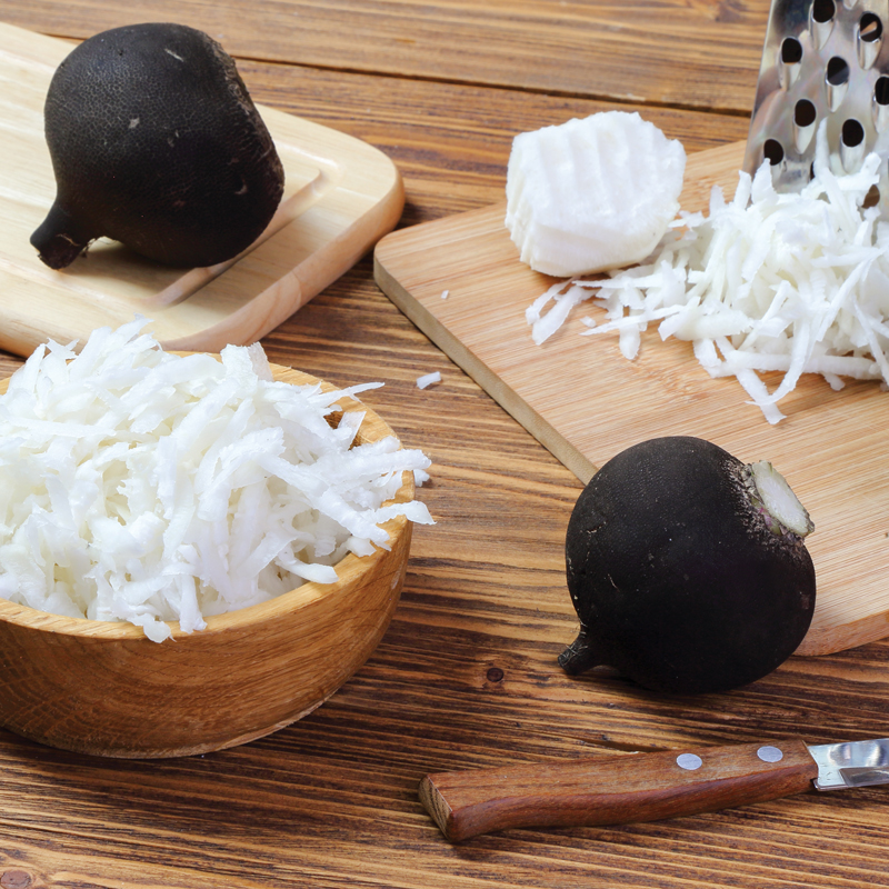 Radis Noir Gros rond d'Hiver présemé bio