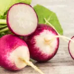 Radis rond rose à bout blanc (National 2) BIO