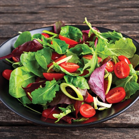 Roquette cultivée présemé bio