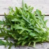 Roquette Sauvage BIO