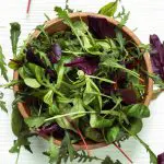 Salade Mesclun De Printemps variée Bio