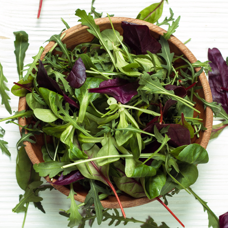 Salade Mesclun De Printemps variée BIO