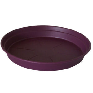 Soucoupe Cocoripot aubergine