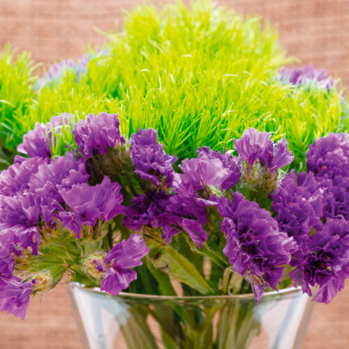 Statice Sinuata Purple Attraction
