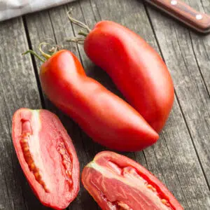 Tomate Andine Cornue (des andes) BIO