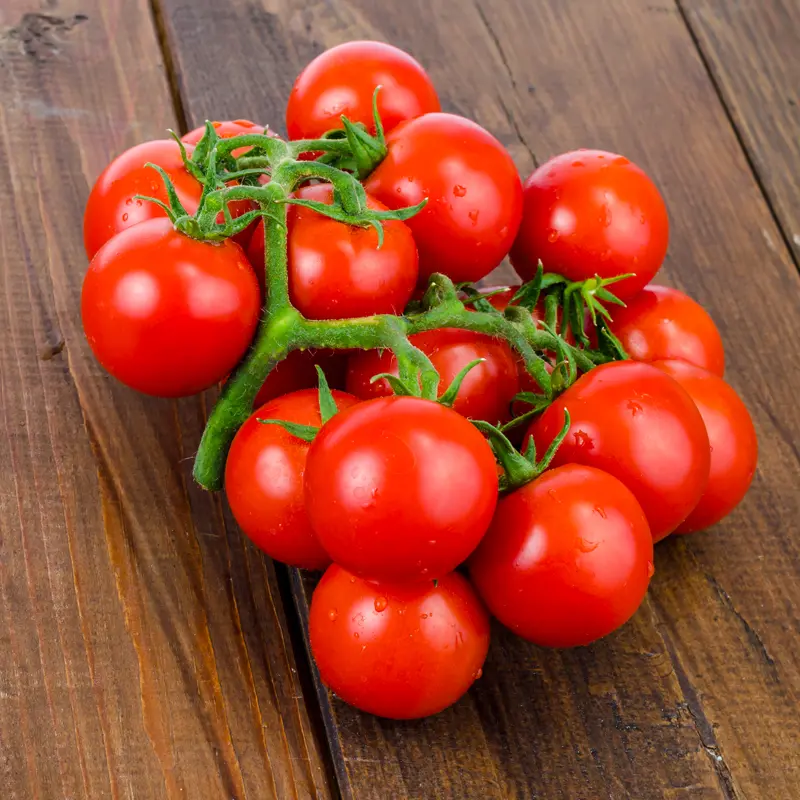 Graines de tomates cerises BIO à cultiver sur un balcon ou une