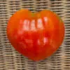 Tomate Cuor Di Bue (Cœur De Bœuf)