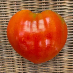 Tomate Cuor Di Bue (Cœur De Bœuf)