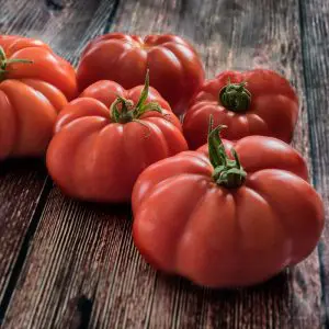 Tomate Marmande Vr